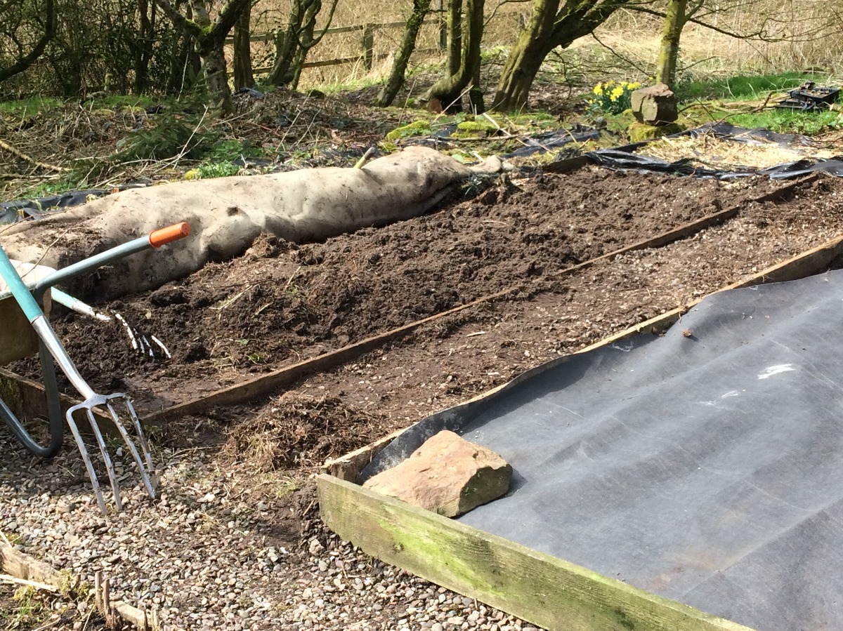 garden beds beginning to take shape again as carpets rolled back and wooden edging was replaced