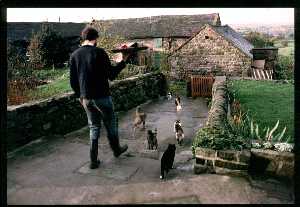 Andy feeding the cats at Ladymoor Gate 1988