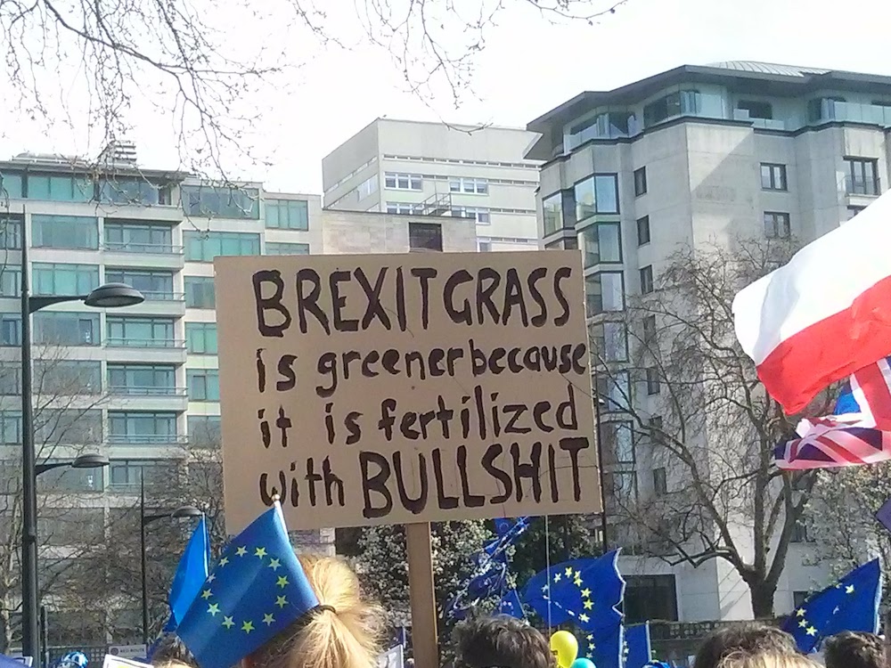 Placard reading Brexit grass is greener because it's fertilised with bullshit