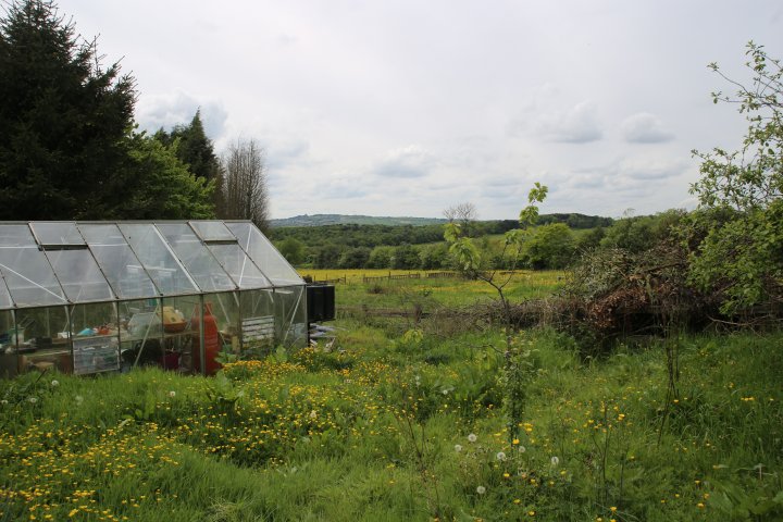 phoca thumb l IMG 0117 greenhouse