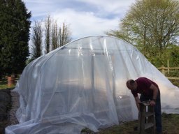 Polytunnel11-build