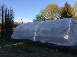 Polytunnel13-build