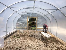 Polytunnel16-build