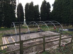 Polytunnel3-build