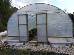 polytunnel-IMG_1983