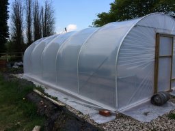 polytunnel-IMG_1985