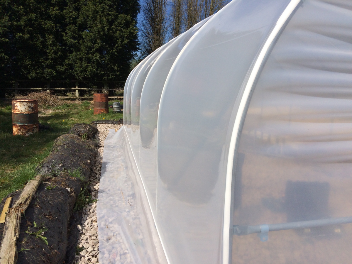 Polytunnel15 build