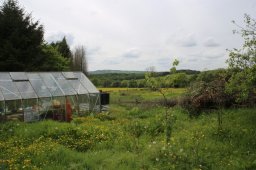 Additional veg beds