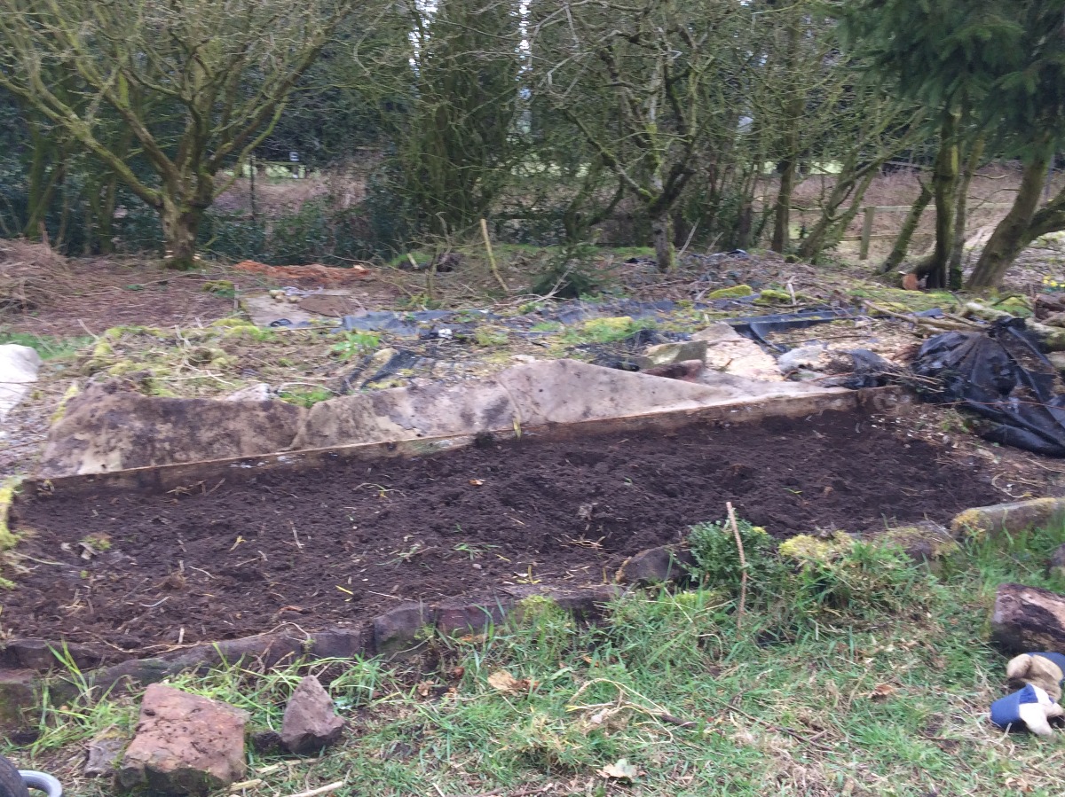 Garden covered in carpets and weeds