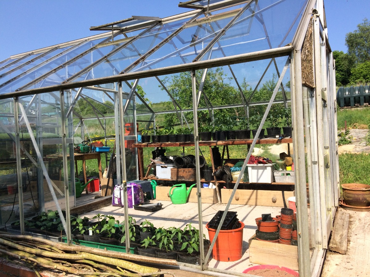 Greenhouse with plants, pots and potting materials
