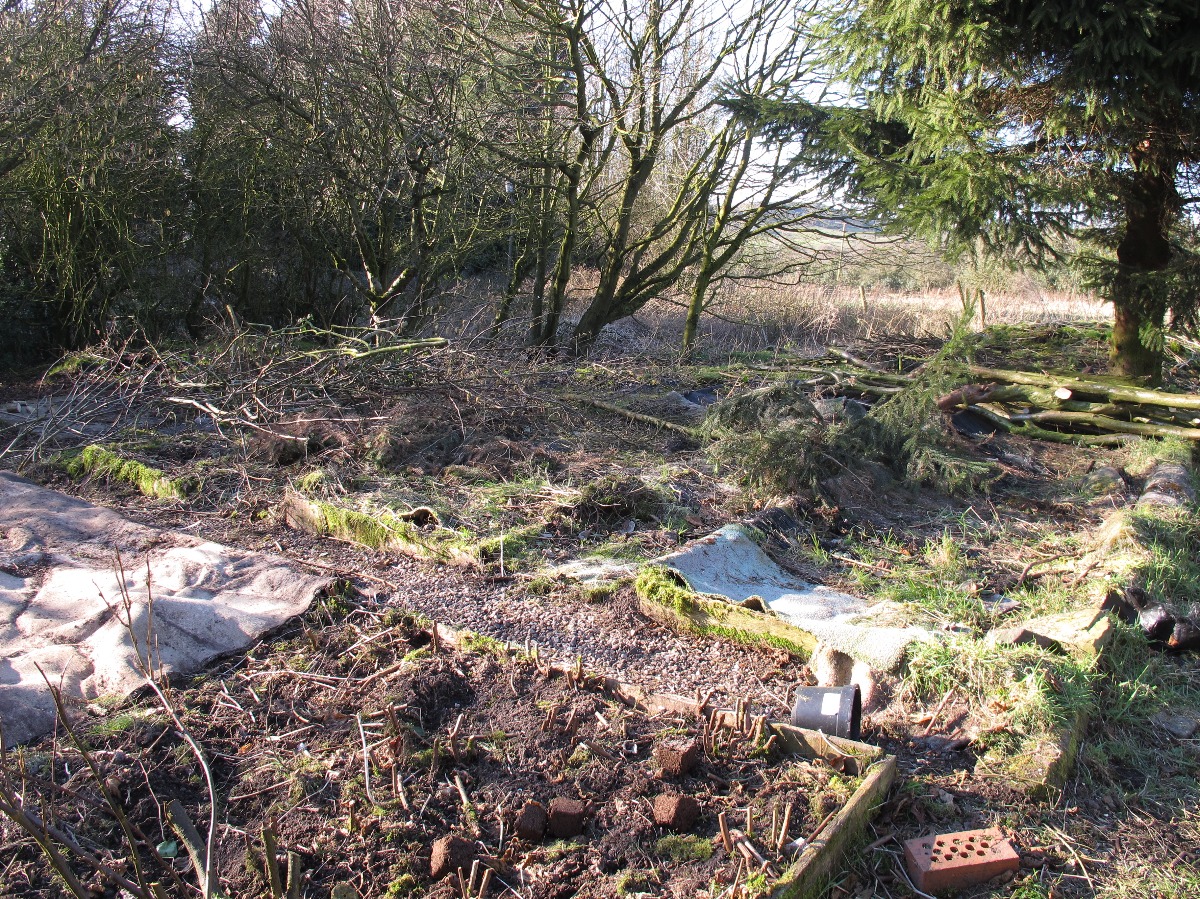 garden covered in carpets, weeds and branches