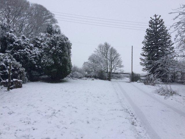 Snow covered garden and drive with trees 