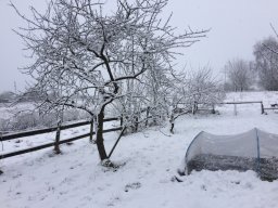 Winter2021-Jan-07