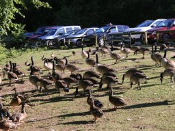 KnypersleyLakeCarPark