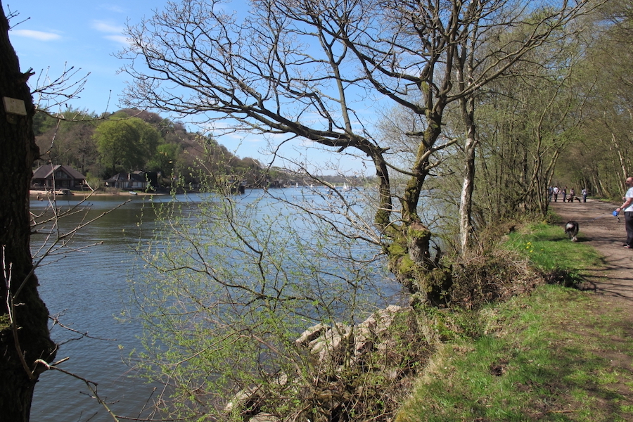 View along Rudyard Lake from old railway line, North of the dam