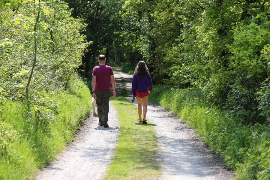 Walking along country lane in Summer