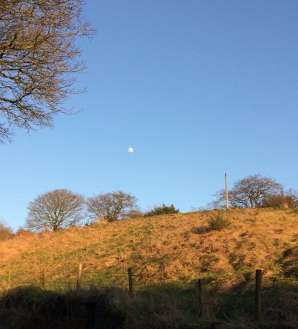 Afternoon moon over Crowborough 
