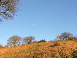 Moon-over-Crowborough-winter-evening-a