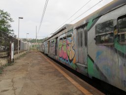 CumanaLinetrain