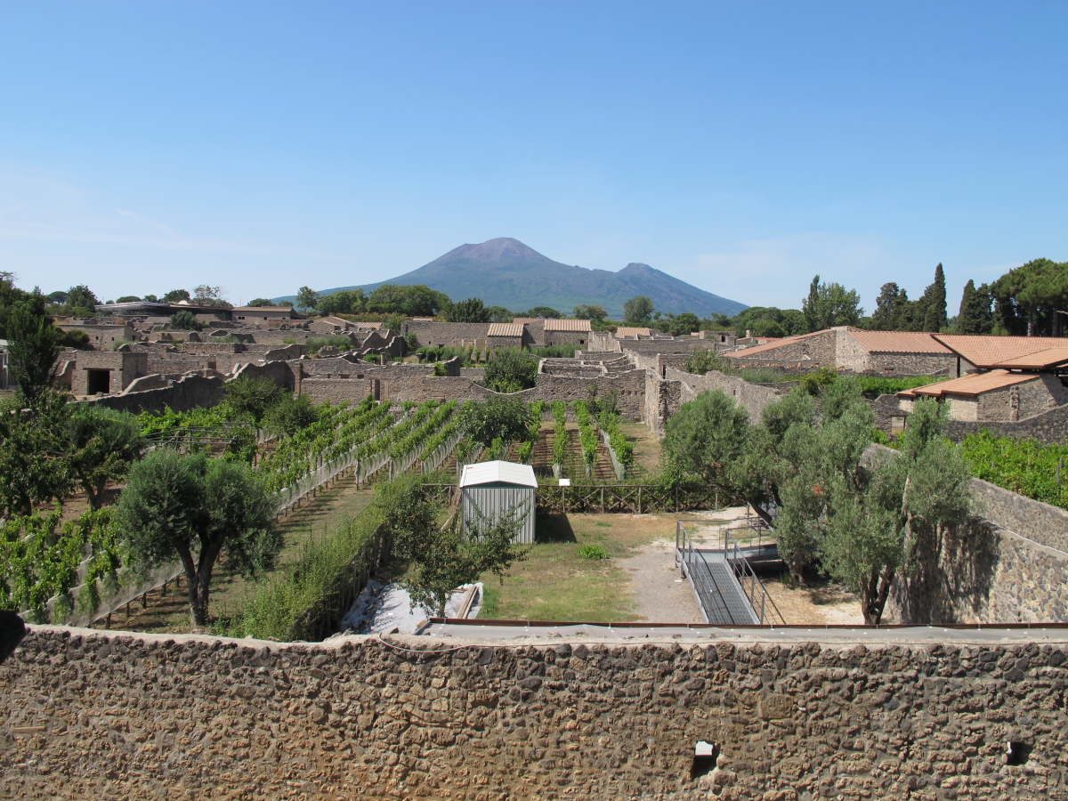 view across pompeii with Vesuvius in background
