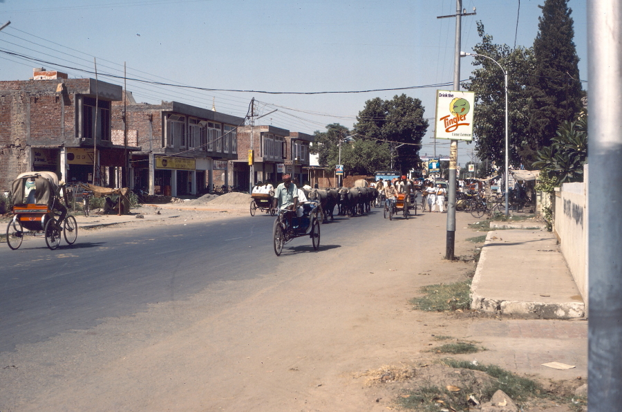 View of an Amritsar Street