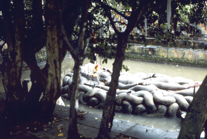 Lord Vishnu floating in his pool