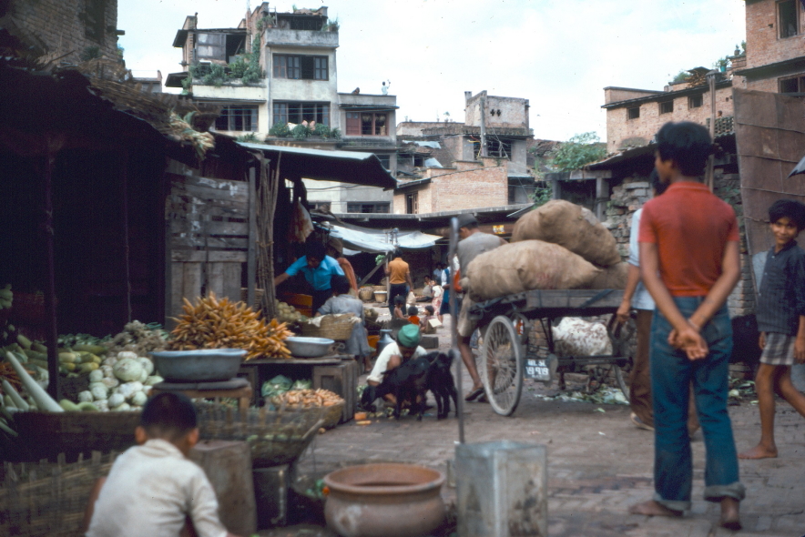 Vegetable Market