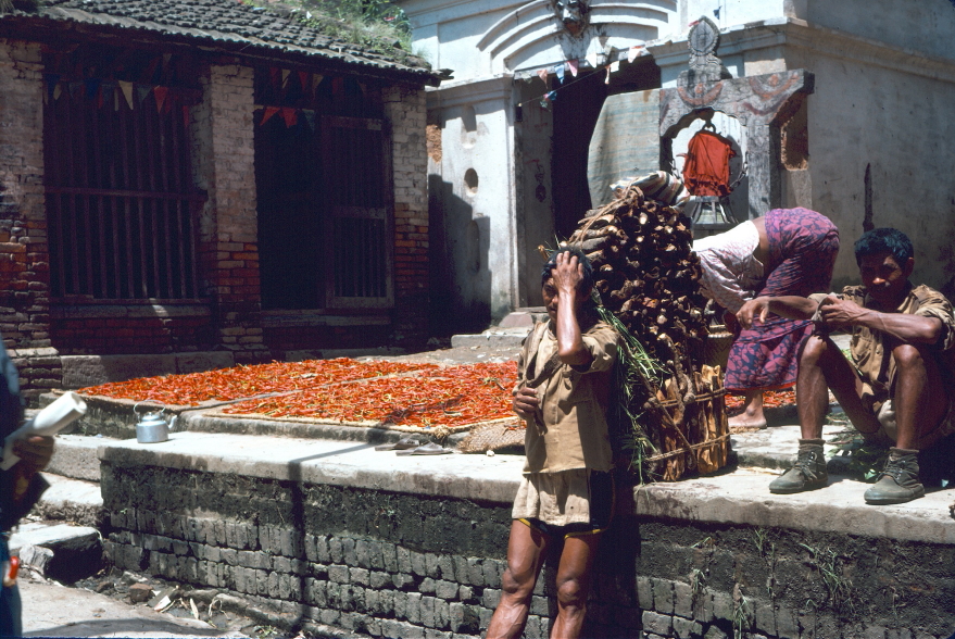 Man carrying heavy load of wood rests against wall next to drying red chillis