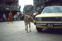 Kathmandu-056