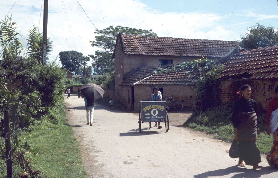 Tranquil scend along a sideroad