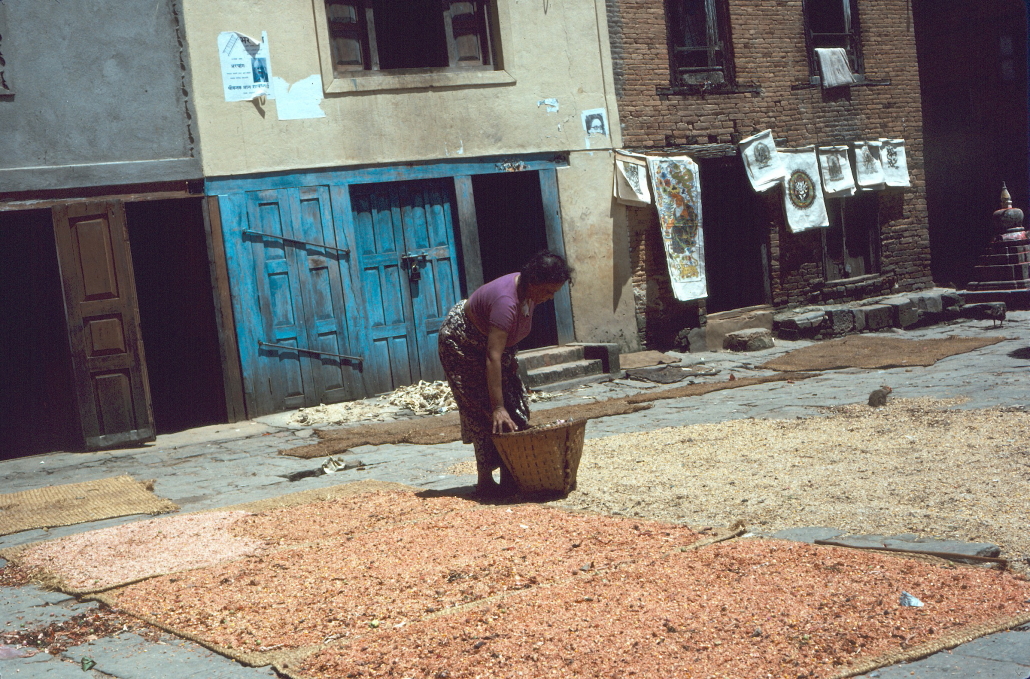 Lady drying peppers in the template courtyard