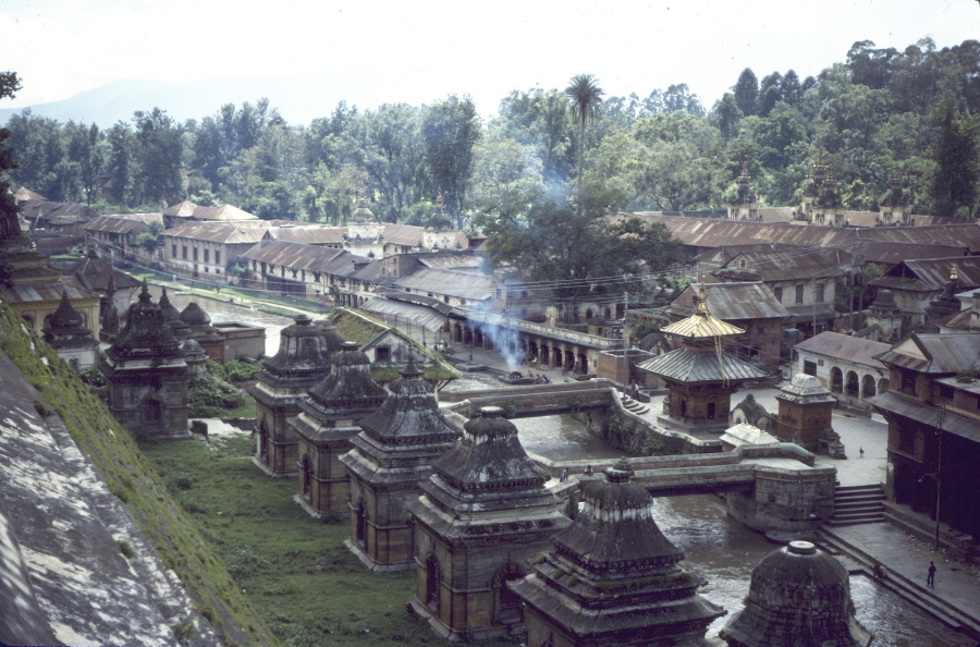 View ovwe the Pashvapanath temple