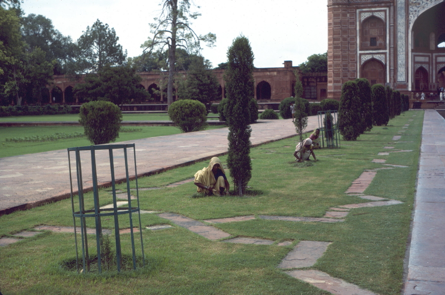 Gardeners working at the Taj Mahal