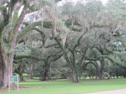 Avery Island