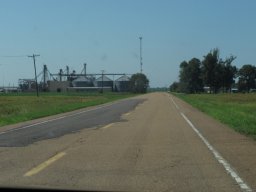 Louisiana backroads
