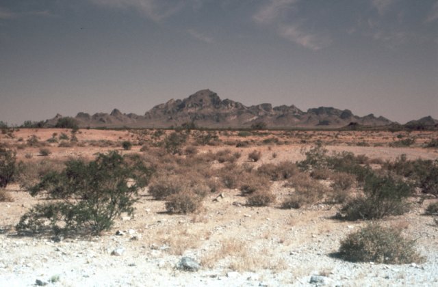 View across dessert