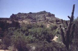 Phoenix-Apache-trail-0002