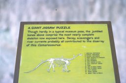 Dinosuar National Monument
