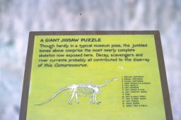 Dinosaur-National-Monument-0001