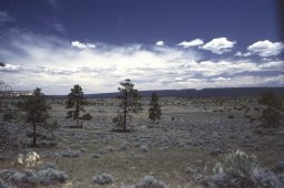 El-Morro-National-Monument-0001