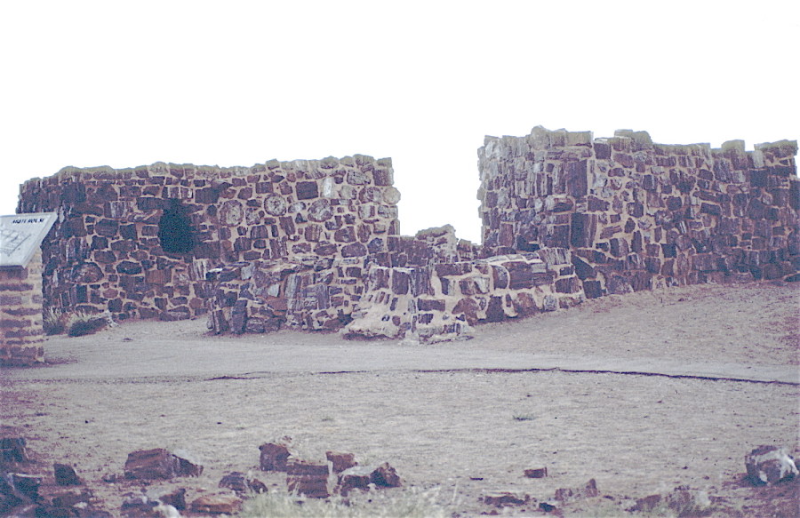 Agate House Petrified forest 0005