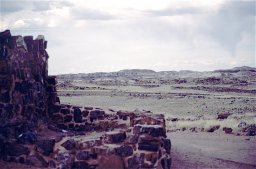 Petrified Forest and Painted Desert