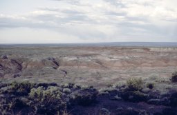 Painted-Desert-0008