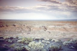 Painted-Desert-0009