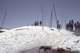 Trail-Ridge-Rockies-0007