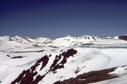 Trail-Ridge-Rockies-0018