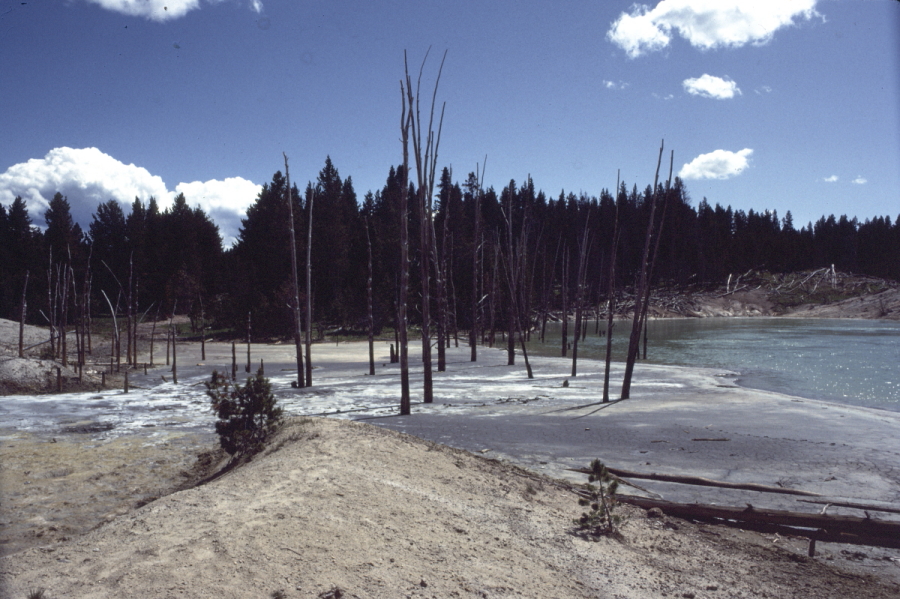 Yellowstone 0050