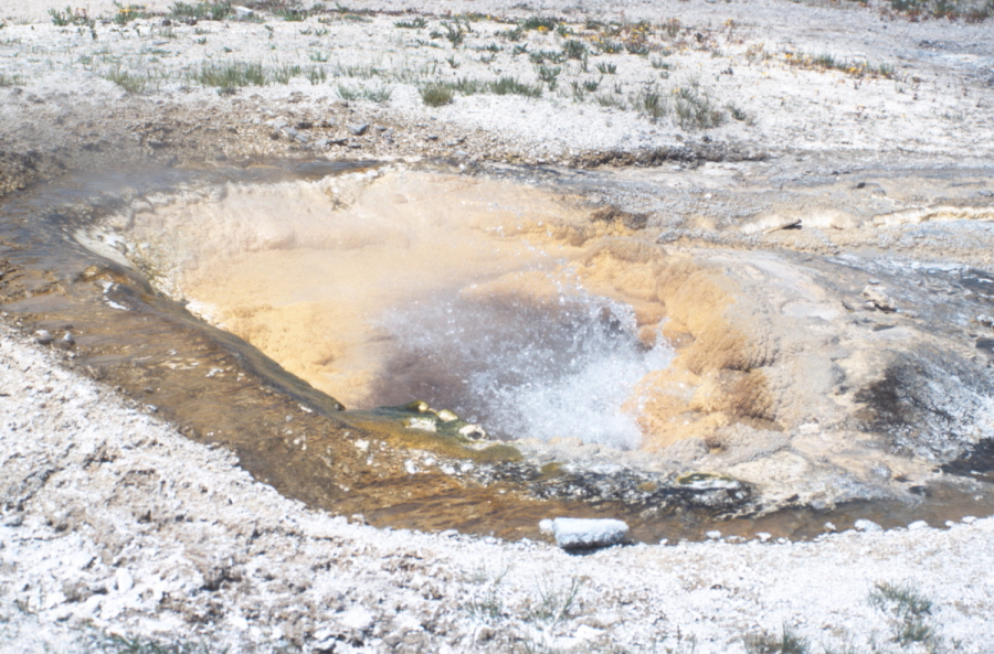 Yellowstone 0085