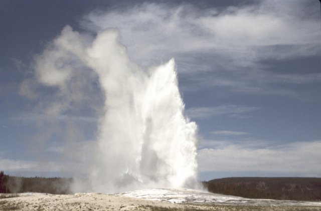 Old Faithful geyser blowing