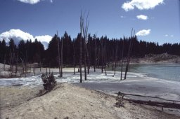 Yellowstone-0050